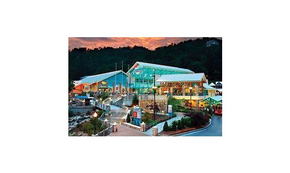 Big image mini magick20191105 128336 3u2201