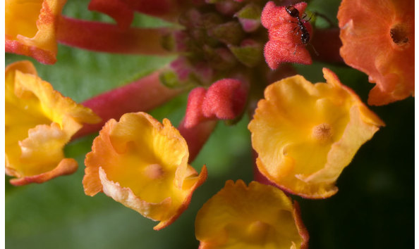 Big image mini magick20191105 128336 1kzcnuk