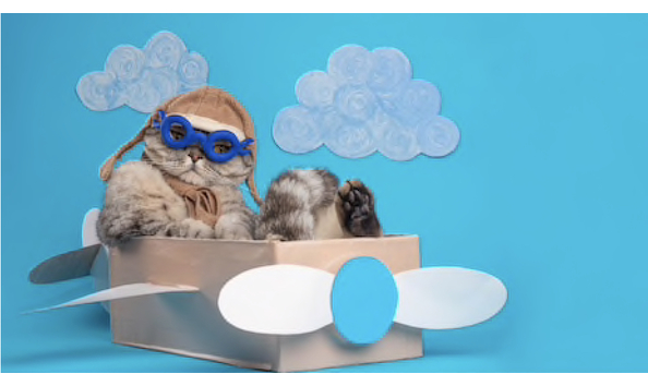 Big image 39b5108c 2c55 4dd2 a385 ca131f7ecf29