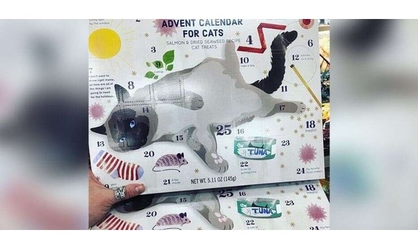 Big image 99fa7a6d 6b4b 463e ac5c 6271cb948305