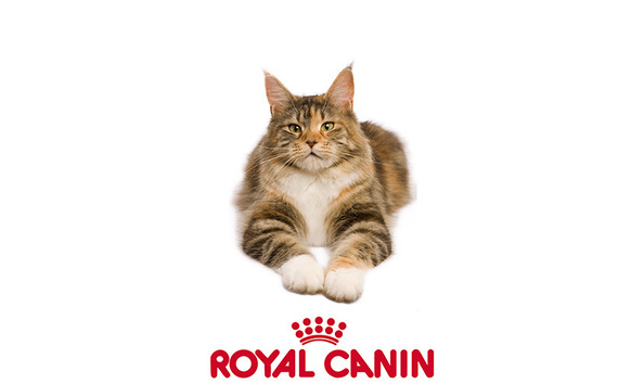 Big image 7412e492 4ac0 4fbf 985b d1e864a7de49