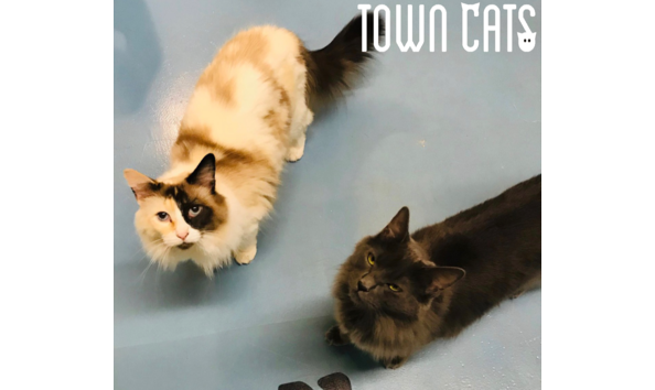 Big image c78743a2 d324 4595 b0bf c8558969a3b0