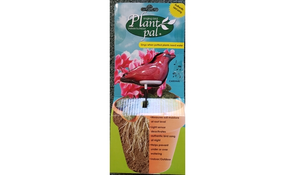 Big image singing plant pal