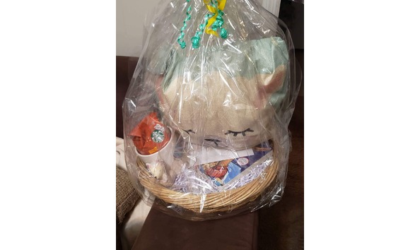 Big image sleeptraningbasket