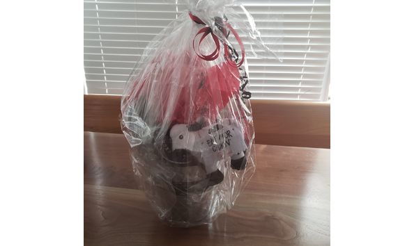 Big image chickfilabasketaugusta