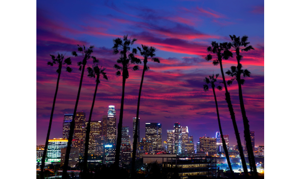 Big image pic downtown la night skyline with palm trees