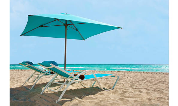 Big image pic palms4