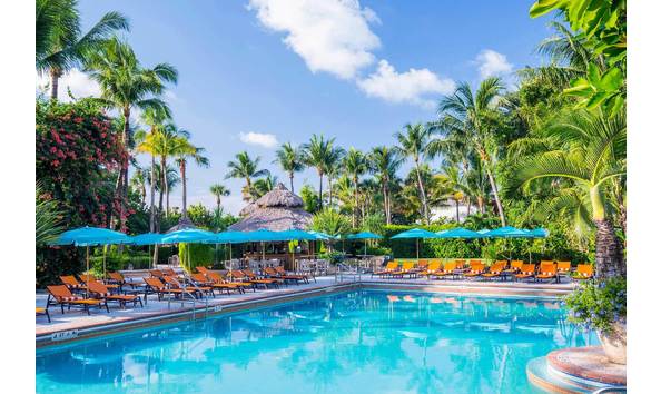 Big image pic palms7