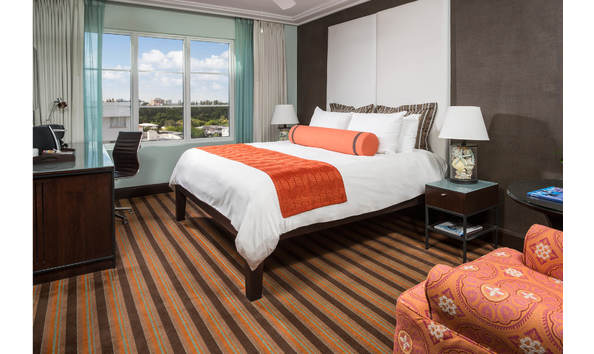 Big image pic palms8