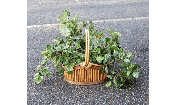 Big image 20191105 145834