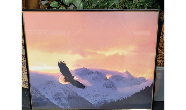 Big image 20191105 150905