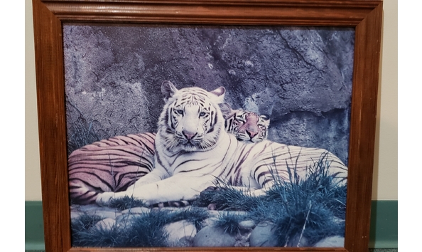 Big image 20191110 170620