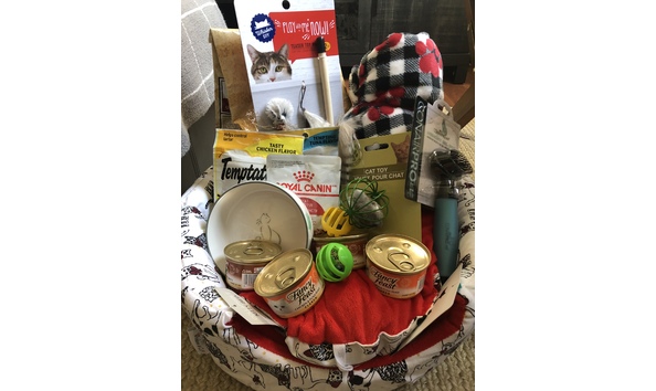 Big image 863fd25c f9ba 4f7c 9090 b42df05e68d2