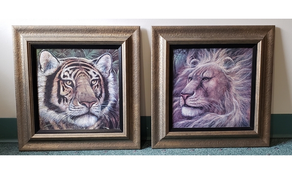 Big image 20191107 121020