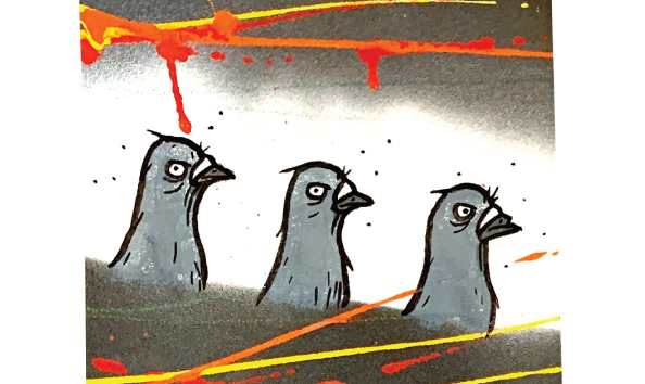 Big image todd francis 1 macro 1