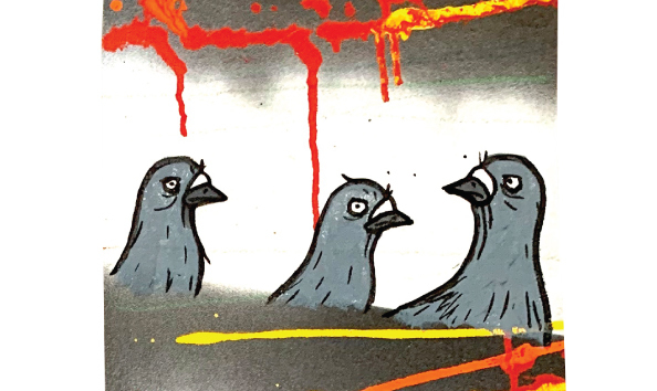 Big image todd francis 2 macro 1