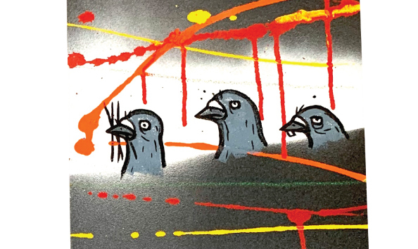 Big image todd francis 2 macro 2