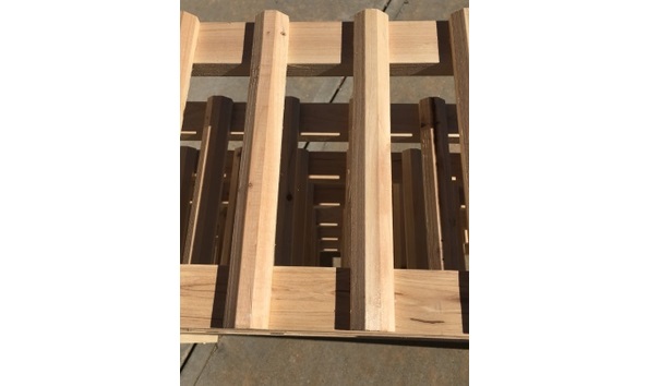 Big image img 9549 2