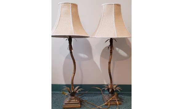 Big image 20191113 172134