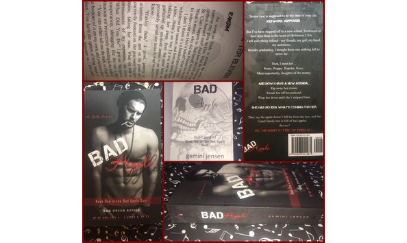 Big image gemini jensen 