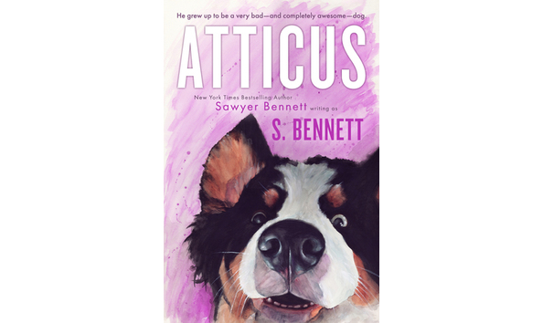 Big image 39337860. sy475 