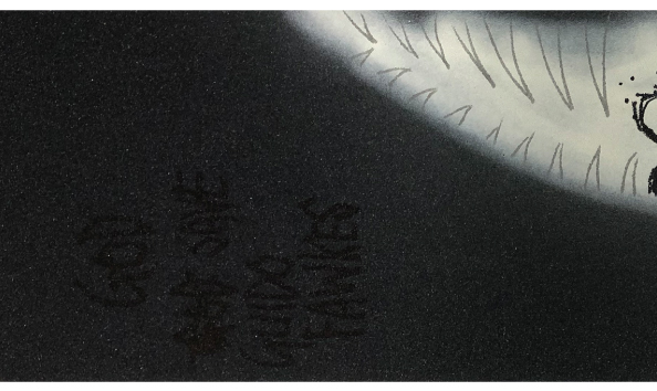 Big image fos 1 macro 1