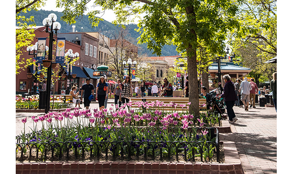 Big image bizlanding whydowntown