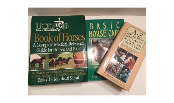 Big image img 9674 2