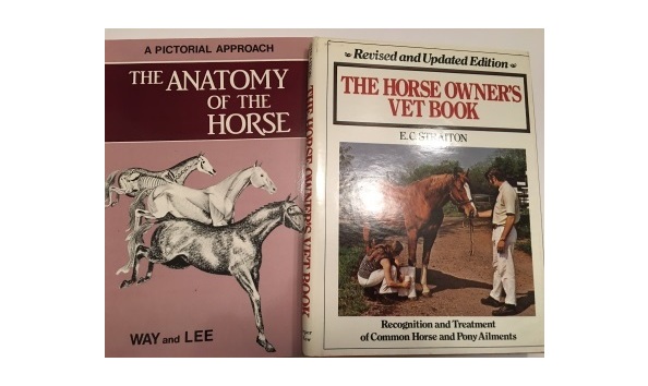 Big image img 9673 2