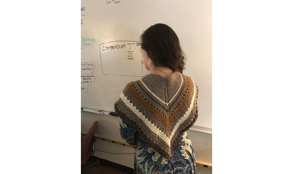 Big image brooktrout3