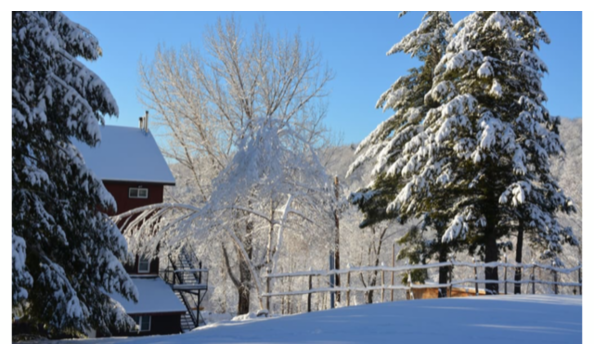 Big image f458ad71 549d 40cf 9e1a bb4561d057f1