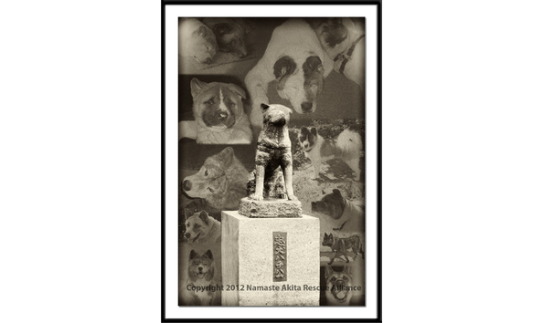 Big image auction montage 1051 hachiko