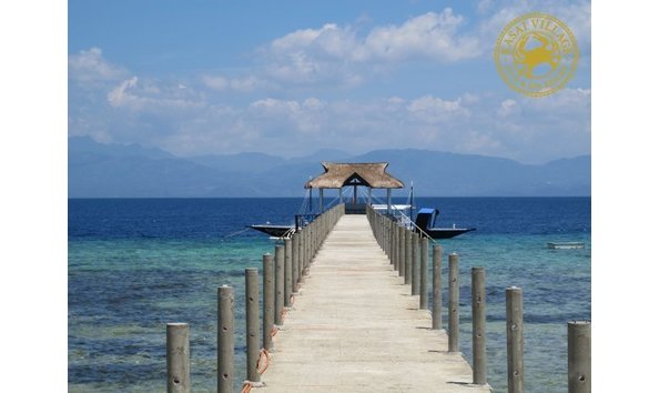 Big image original  4 