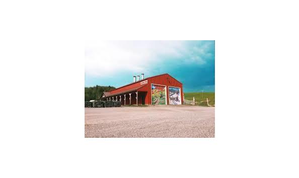 Big image download  3 