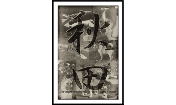 Big image auction 1050 montage kanji