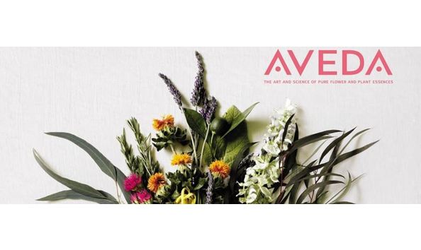 Big image aveda stephen   burns aveda salon   spa   photos