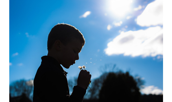 Big image 9f34f75a ced3 438b aa40 60ce81142839