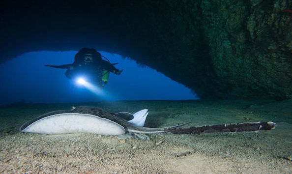 Big image big image mini magick20190402 1554 w755vp