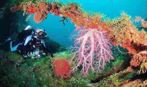 Big image big image mini magick20191120 76461 1g6f82f