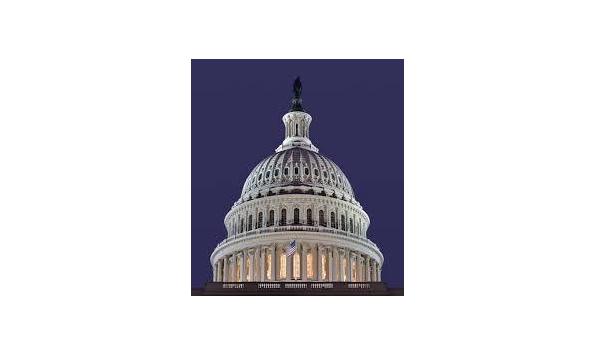 Big image download  1    erika lim