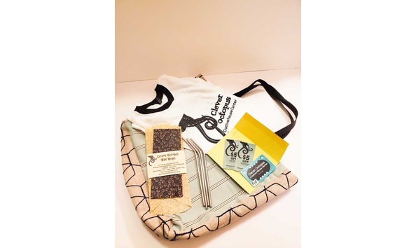 Big image clever octupus