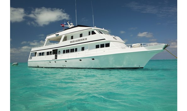 Big image aggressor11