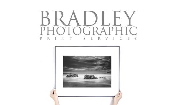 Big image bradleylogo