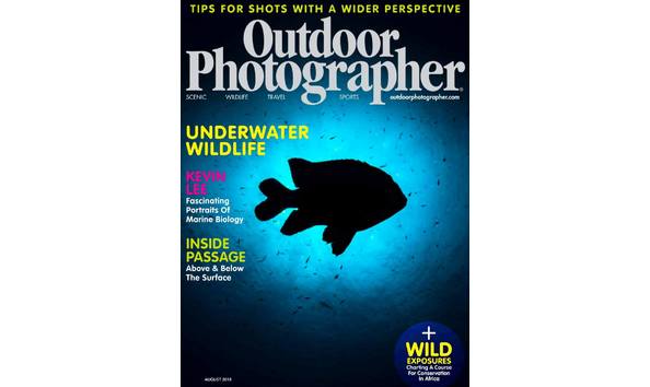 Big image 38036375 10155613414271024 1923304037529157632 o