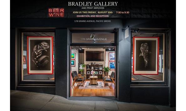 Big image jasonbradley1