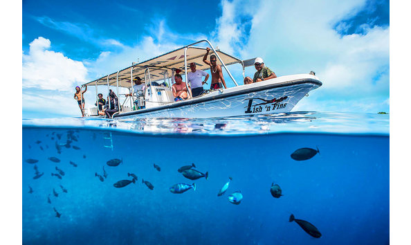 Big image 1fishnfins