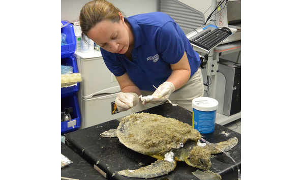 Big image 10947338 10153370292537342 2819513625864978649 n