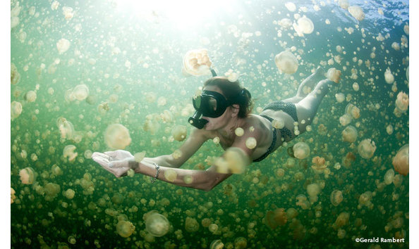 Big image mini magick20191210 80694 1amzxqy