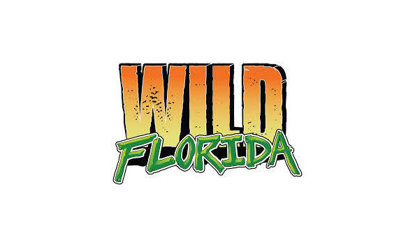 Big image wild florida 1