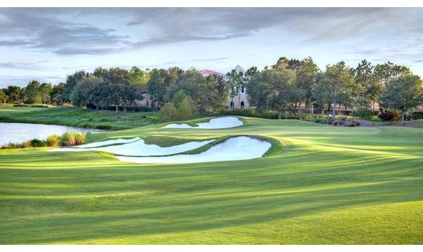 Big image shingle creek